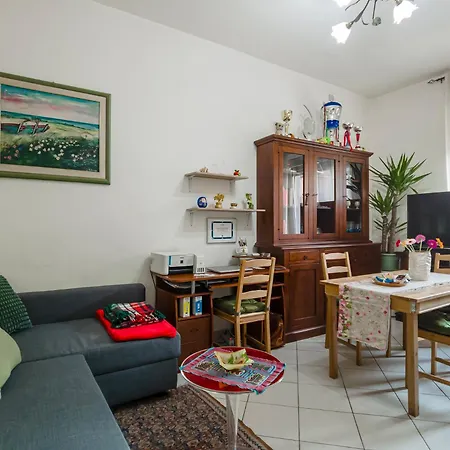 Mfs San Marino Host Turim