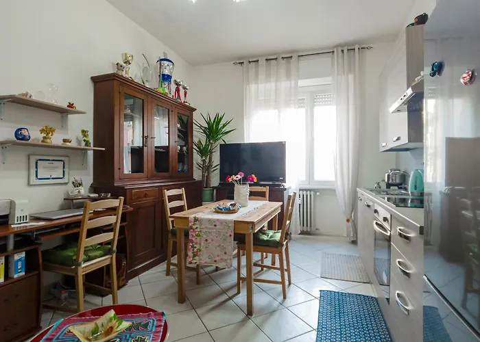 Mfs San Marino Host Turín